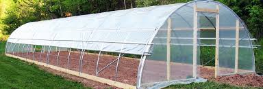 planting_greenhouse