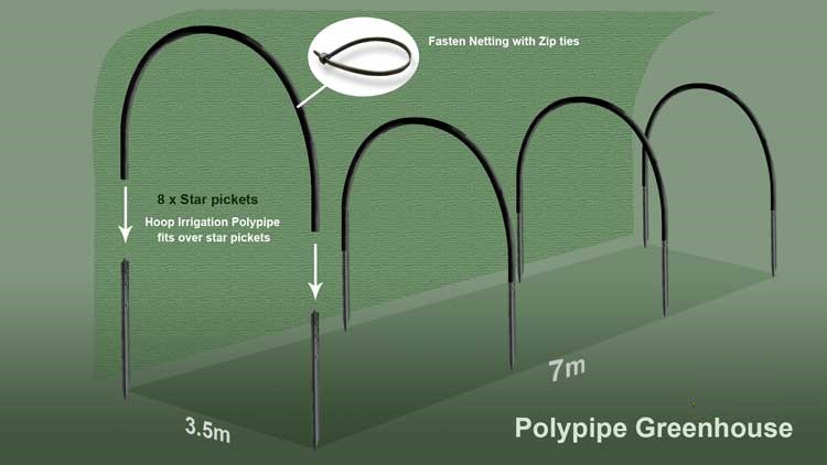 plants_polypipegreenhouse